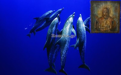 ΘΑΥΜΑ: Δελφίνια έβγαλαν εικόνα της Παναγίας στην ακτή 